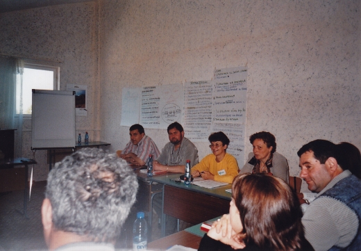 Professionalism of municipal councilors (2005)